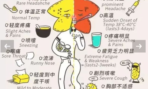 密蒙花中药别名-【密蒙花的药用价值】密蒙花又叫什么中药名 - 密蒙花中药作用及禁忌网